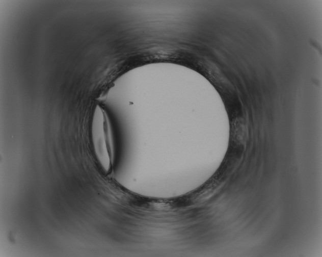 X0000096940509200803071009