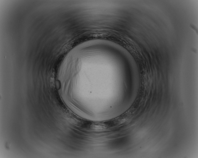 X0000096940510200803071009
