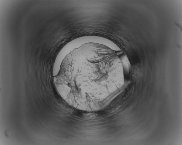 X0000096940511200803071009