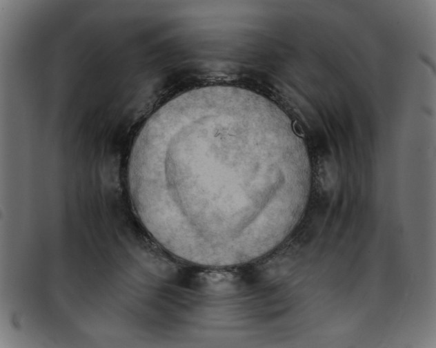 X0000096940512200803071009