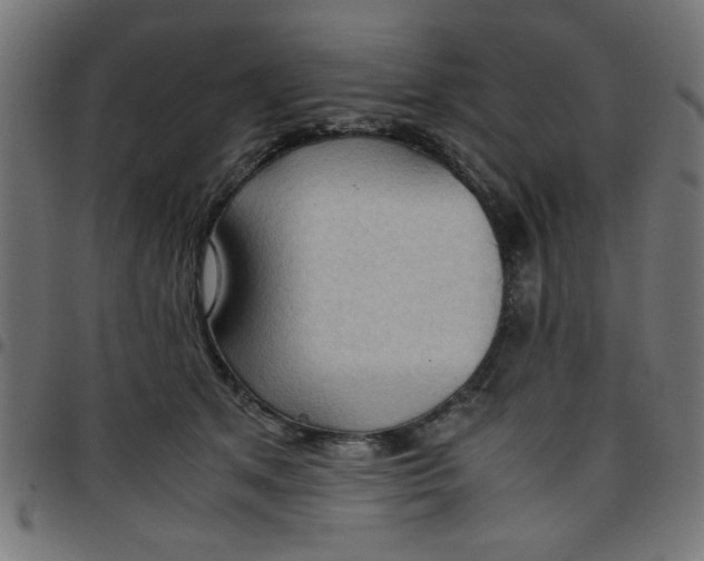 X0000096940513200803071009