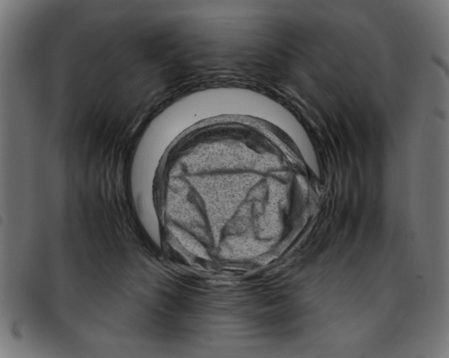 X0000096940516200803071009