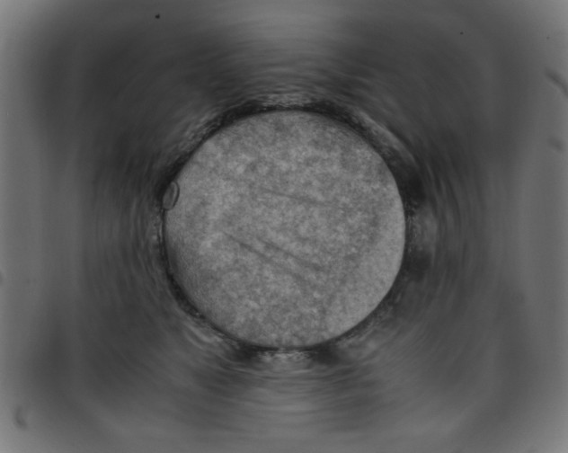 X0000096940517200803071009