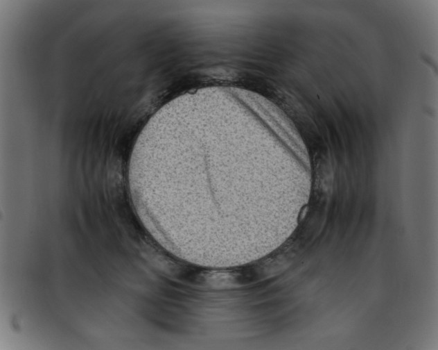 X0000096940518200803071009
