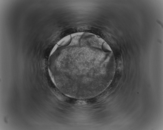 X0000096940519200803071009
