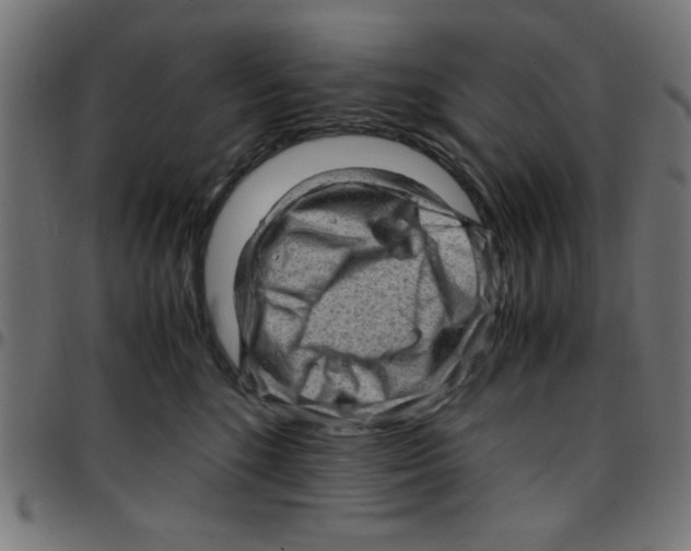 X0000096940520200803071009