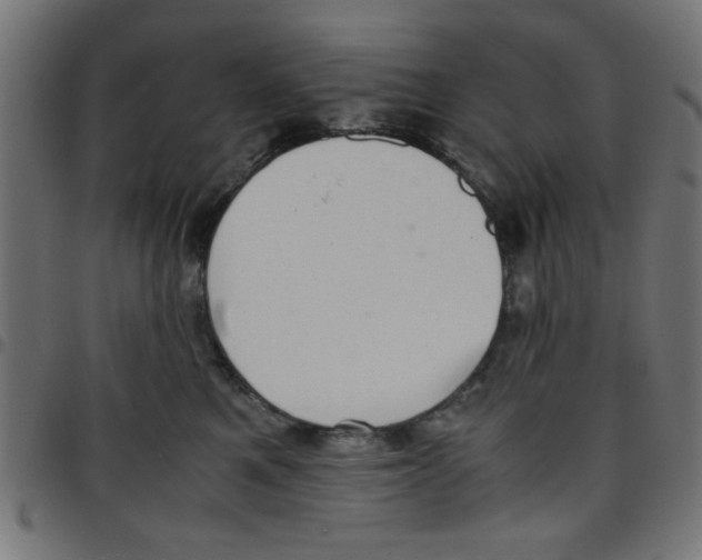 X0000096940521200803071009
