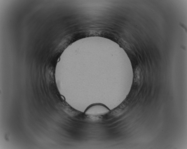 X0000096940522200803071009
