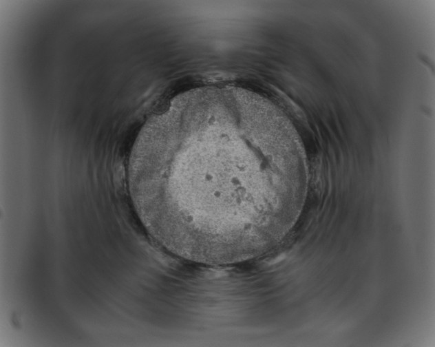 X0000096940523200803071009