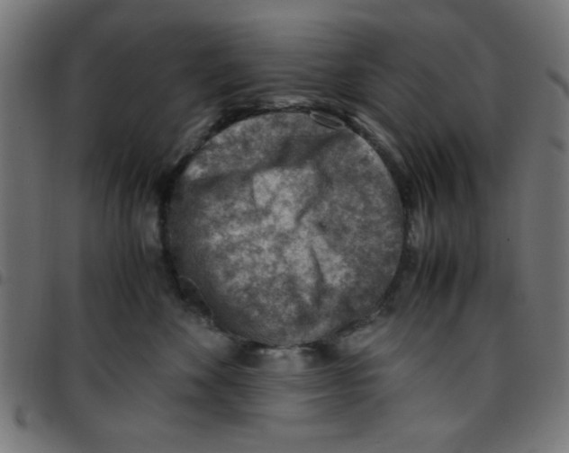 X0000096940524200803071009