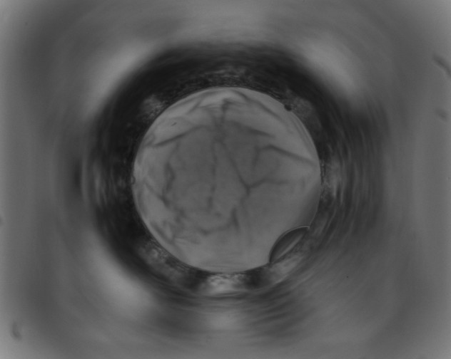 X0000096940526200803071009