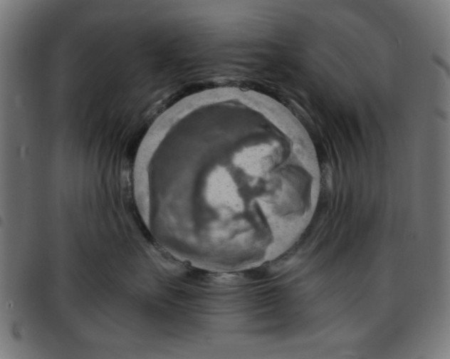 X0000096940527200803071009
