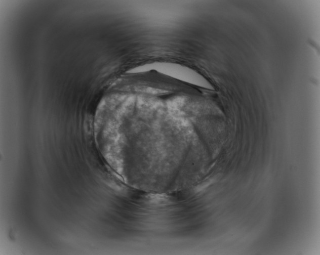 X0000096940528200803071009