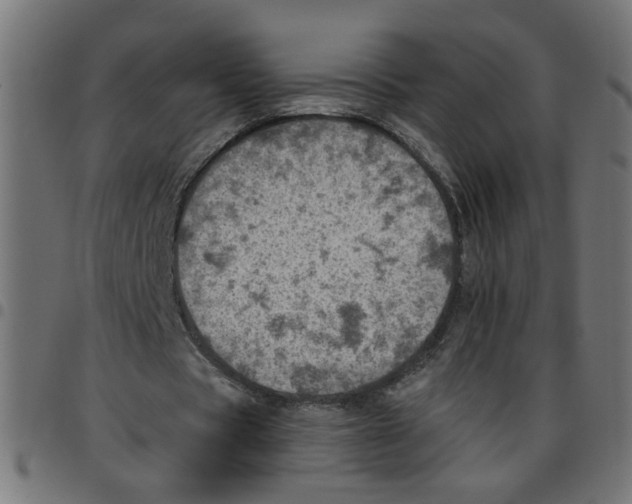 X0000096940529200803071008