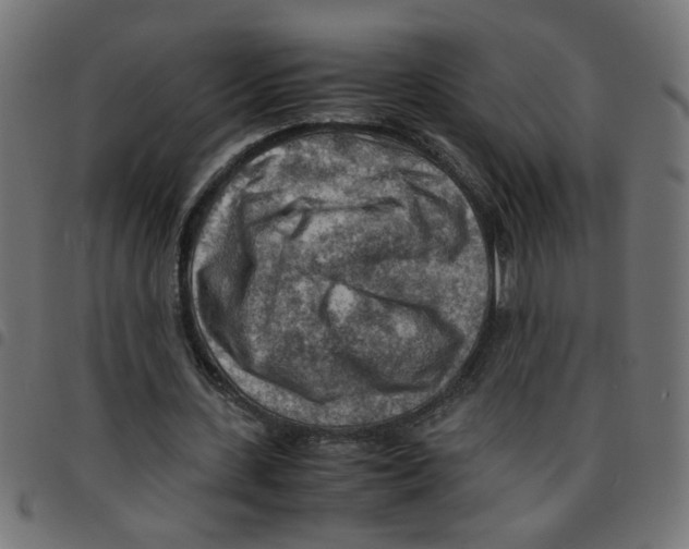 X0000096940531200803071008