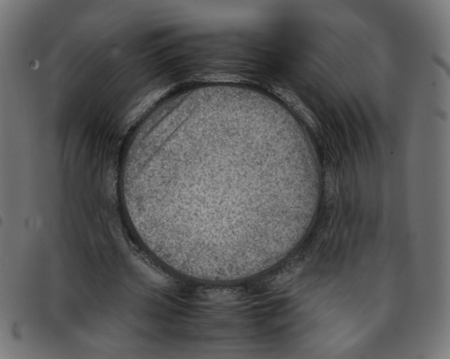 X0000096940533200803071008