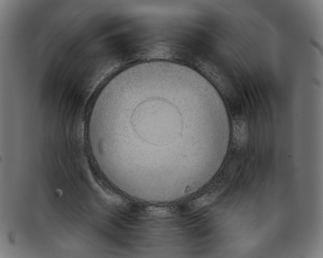 X0000096940534200803071008