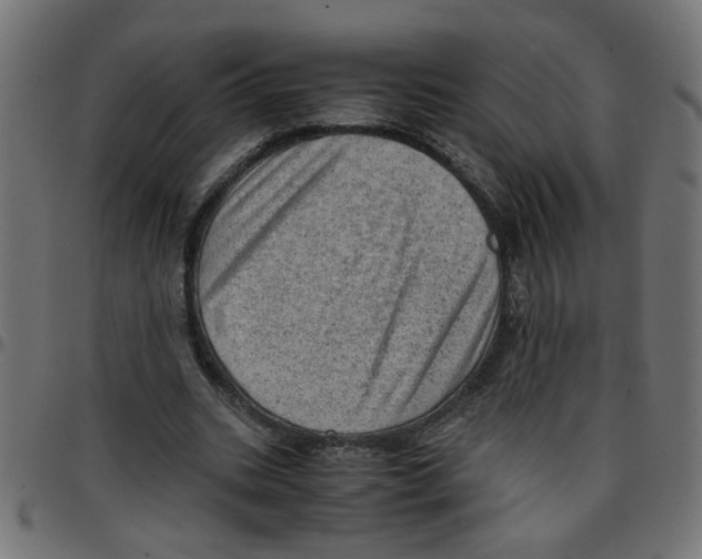 X0000096940535200803071008
