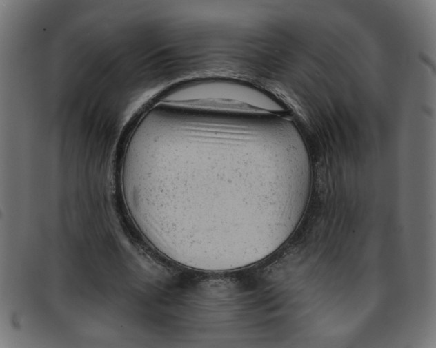 X0000096940536200803071008