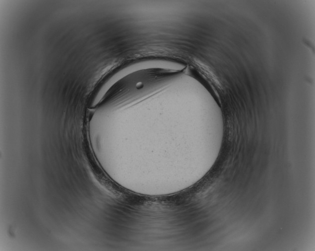 X0000096940538200803071008