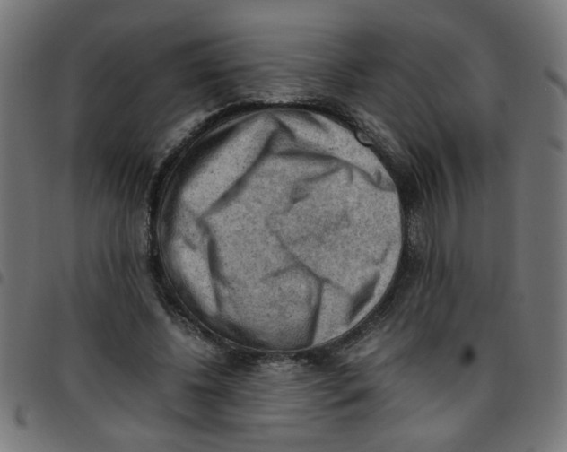 X0000096940540200803071008