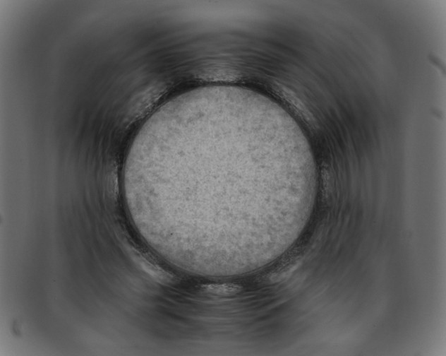 X0000096940541200803071008