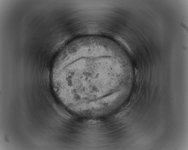 X0000096940542200803071008