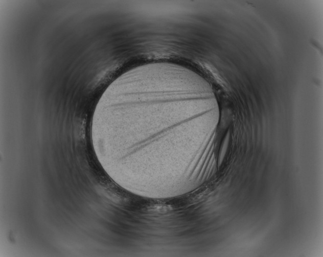 X0000096940543200803071008