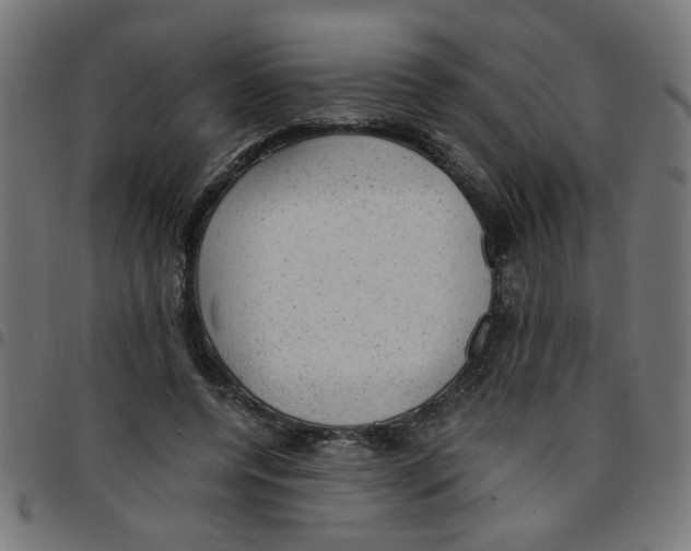 X0000096940544200803071008