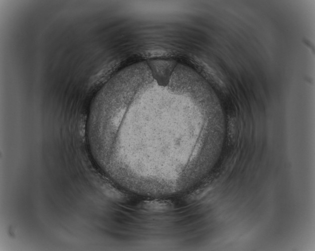 X0000096940545200803071008