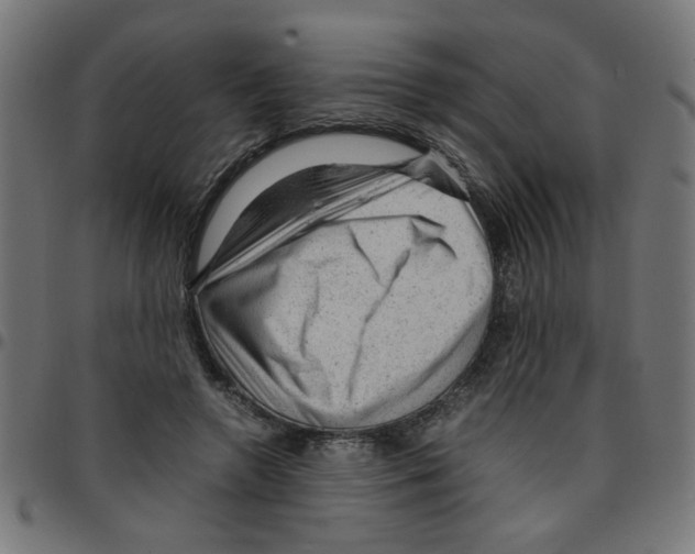 X0000096940546200803071008
