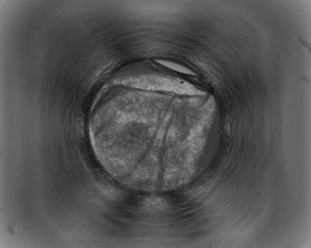 X0000096940547200803071008