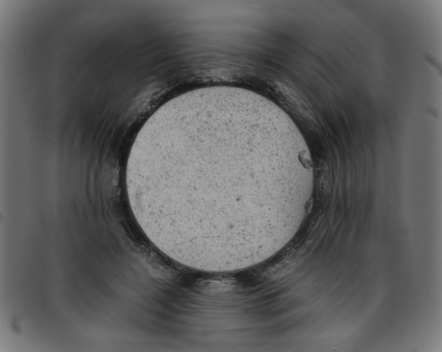 X0000096940548200803071008