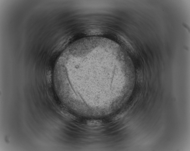 X0000096940549200803071008