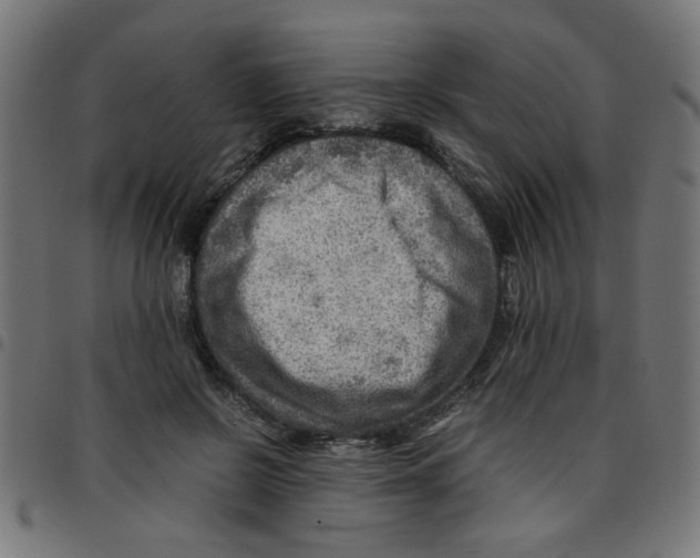 X0000096940550200803071008