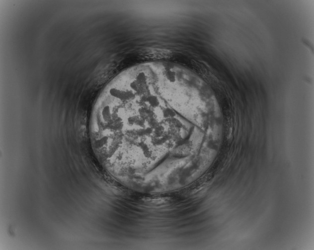 X0000096940553200803071008