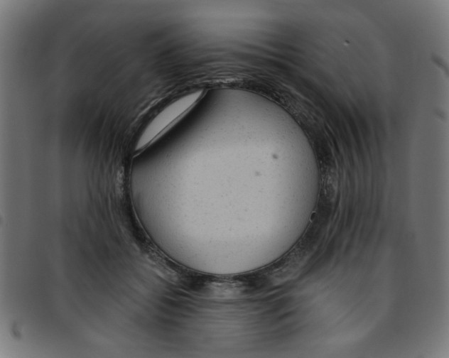 X0000096940556200803071008