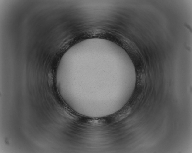 X0000096940558200803071008