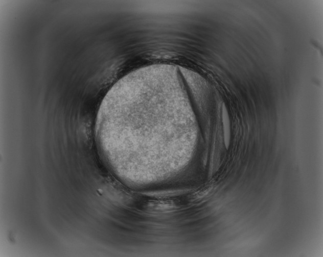 X0000096940559200803071008