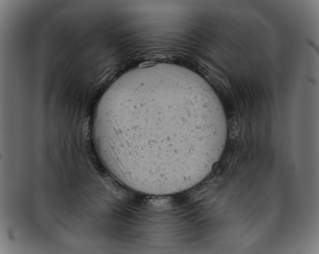 X0000096940560200803071008