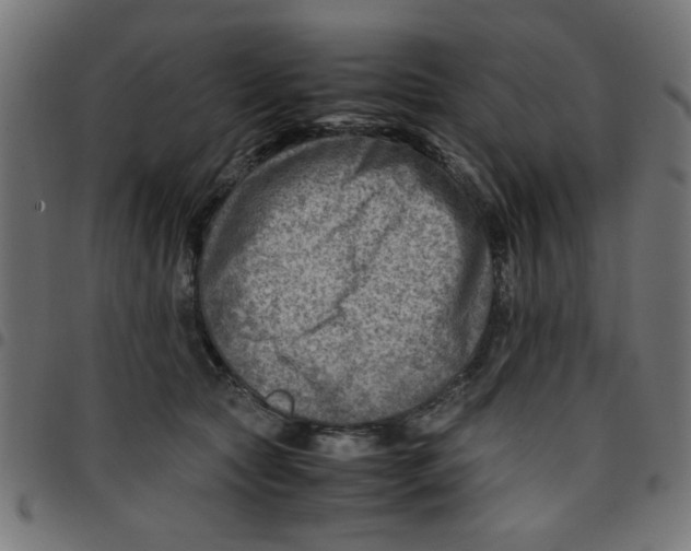 X0000096940561200803071008