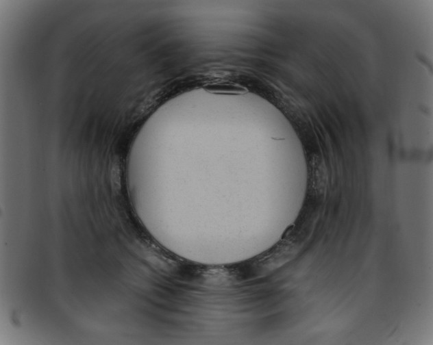 X0000096940562200803071008