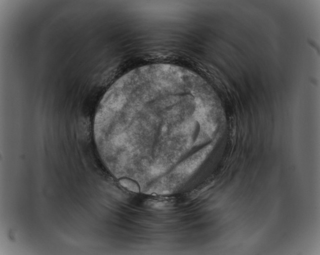 X0000096940563200803071008