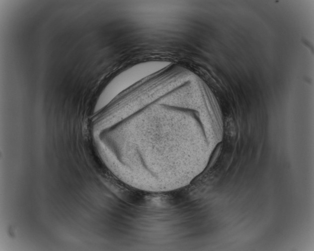 X0000096940564200803071008