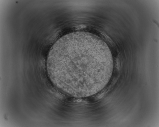 X0000096940565200803071008