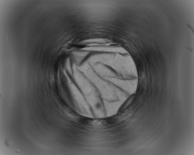 X0000096940566200803071008