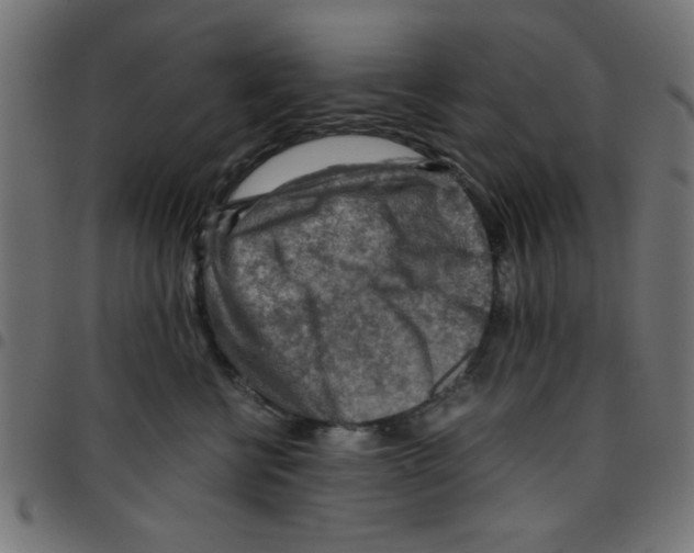X0000096940570200803071008