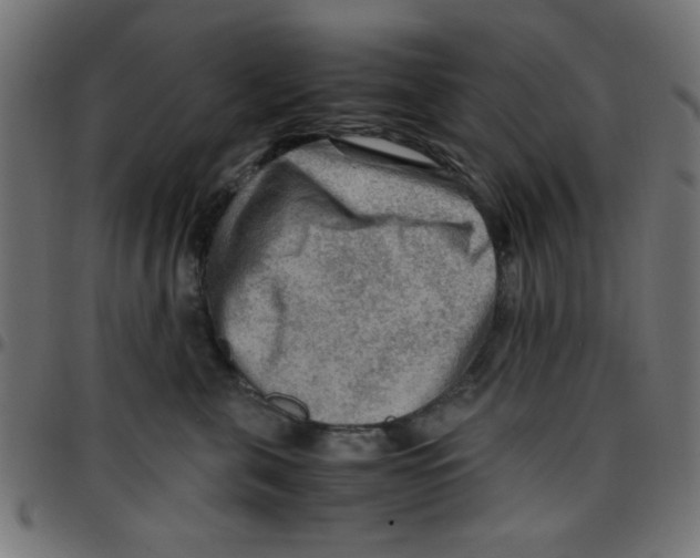 X0000096940571200803071008