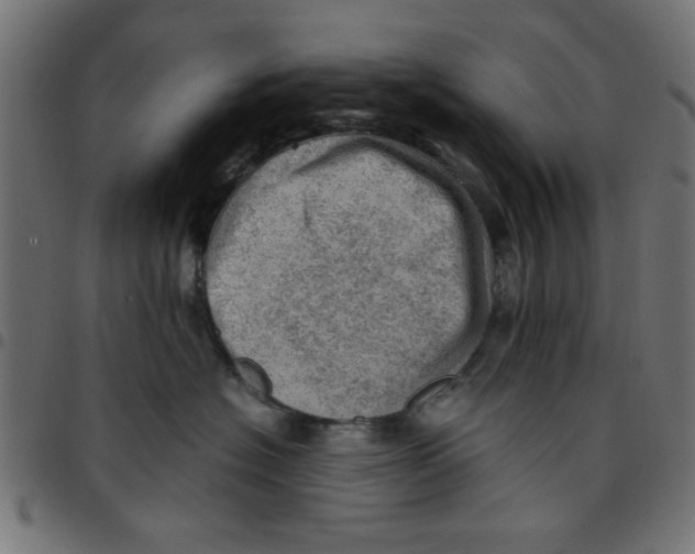 X0000096940574200803071008