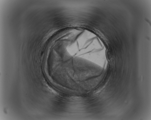 X0000096940577200803071008